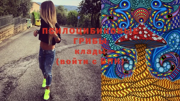 мескалин Осинники