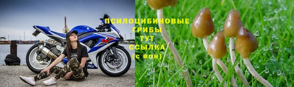 мескалин Осинники